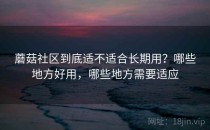 蘑菇社区到底适不适合长期用？哪些地方好用，哪些地方需要适应