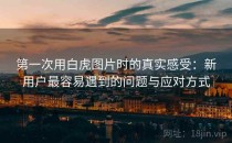 第一次用白虎图片时的真实感受：新用户最容易遇到的问题与应对方式
