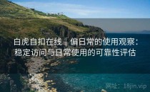 白虎自扣在线｜偏日常的使用观察：稳定访问与日常使用的可靠性评估