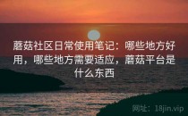 蘑菇社区日常使用笔记：哪些地方好用，哪些地方需要适应，蘑菇平台是什么东西