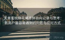 天美蜜桃麻花果冻体验向记录与思考：新用户最容易遇到的问题与应对方式