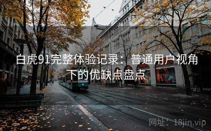 白虎91完整体验记录：普通用户视角下的优缺点盘点  第2张