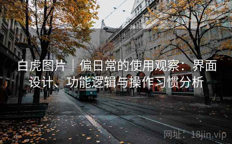 白虎图片｜偏日常的使用观察：界面设计、功能逻辑与操作习惯分析  第1张
