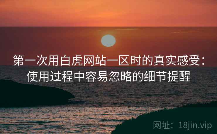 第一次用白虎网站一区时的真实感受:使用过程中容易忽略的细节提醒 第2张 第一次用白虎网站一区时的真实感受:使用过程中容易忽略的细节提醒 第2张