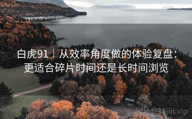 白虎91|从效率角度做的体验复盘:更适合碎片时间还是长时间浏览 第1张 白虎91|从效率角度做的体验复盘:更适合碎片时间还是长时间浏览 第1张