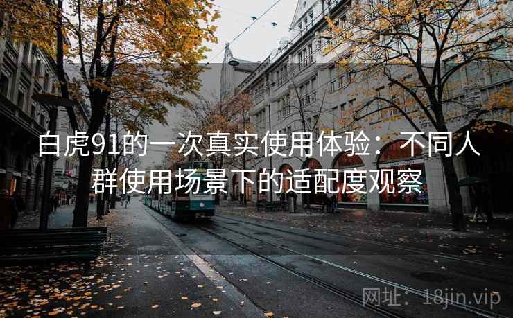 白虎91的一次真实使用体验:不同人群使用场景下的适配度观察 第1张 白虎91的一次真实使用体验:不同人群使用场景下的适配度观察 第1张