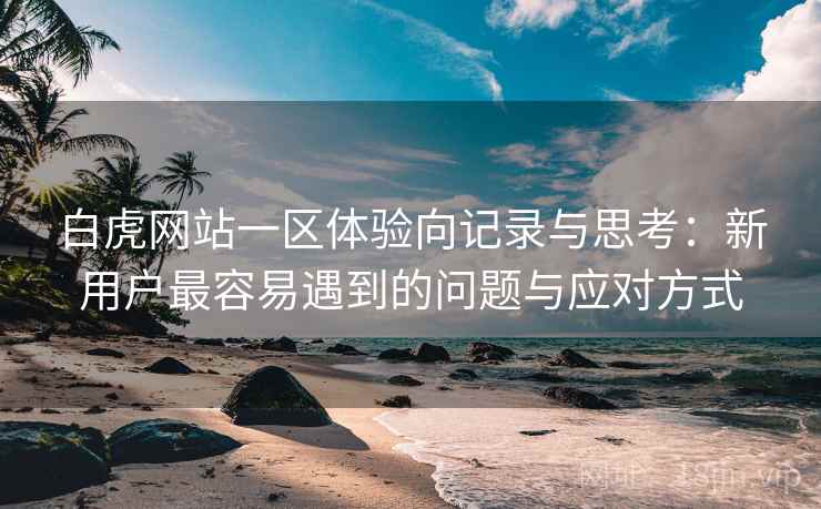 白虎网站一区体验向记录与思考:新用户最容易遇到的问题与应对方式 第2张 白虎网站一区体验向记录与思考:新用户最容易遇到的问题与应对方式 第2张