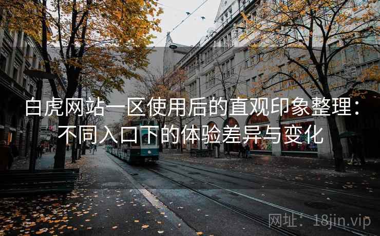 白虎网站一区使用后的直观印象整理：不同入口下的体验差异与变化  第1张