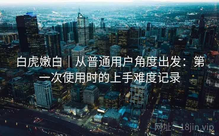 白虎嫩白｜从普通用户角度出发：第一次使用时的上手难度记录  第2张