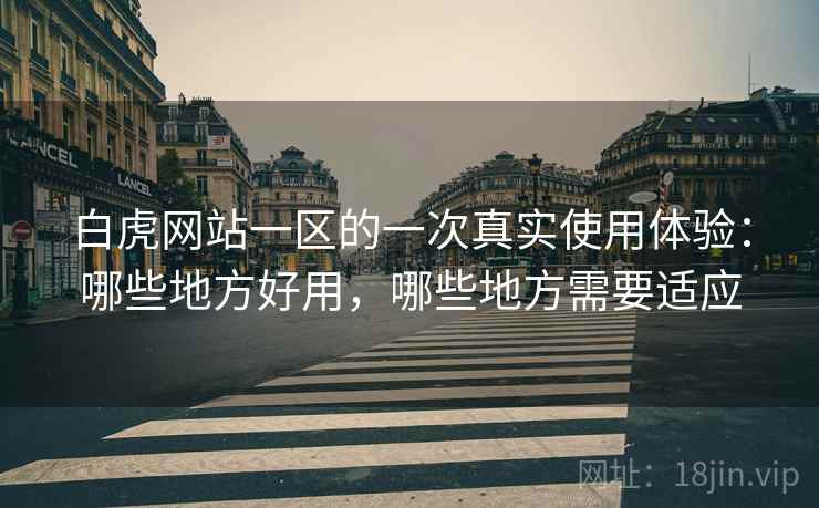 白虎网站一区的一次真实使用体验:哪些地方好用,哪些地方需要适应 第2张 白虎网站一区的一次真实使用体验:哪些地方好用,哪些地方需要适应 第2张