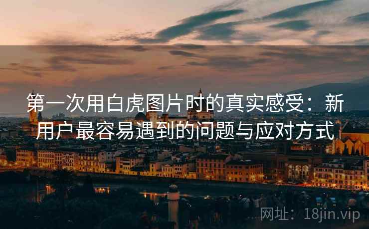 第一次用白虎图片时的真实感受:新用户最容易遇到的问题与应对方式 第1张 第一次用白虎图片时的真实感受:新用户最容易遇到的问题与应对方式 第1张