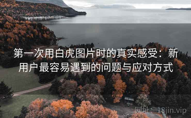 第一次用白虎图片时的真实感受:新用户最容易遇到的问题与应对方式 第2张 第一次用白虎图片时的真实感受:新用户最容易遇到的问题与应对方式 第2张